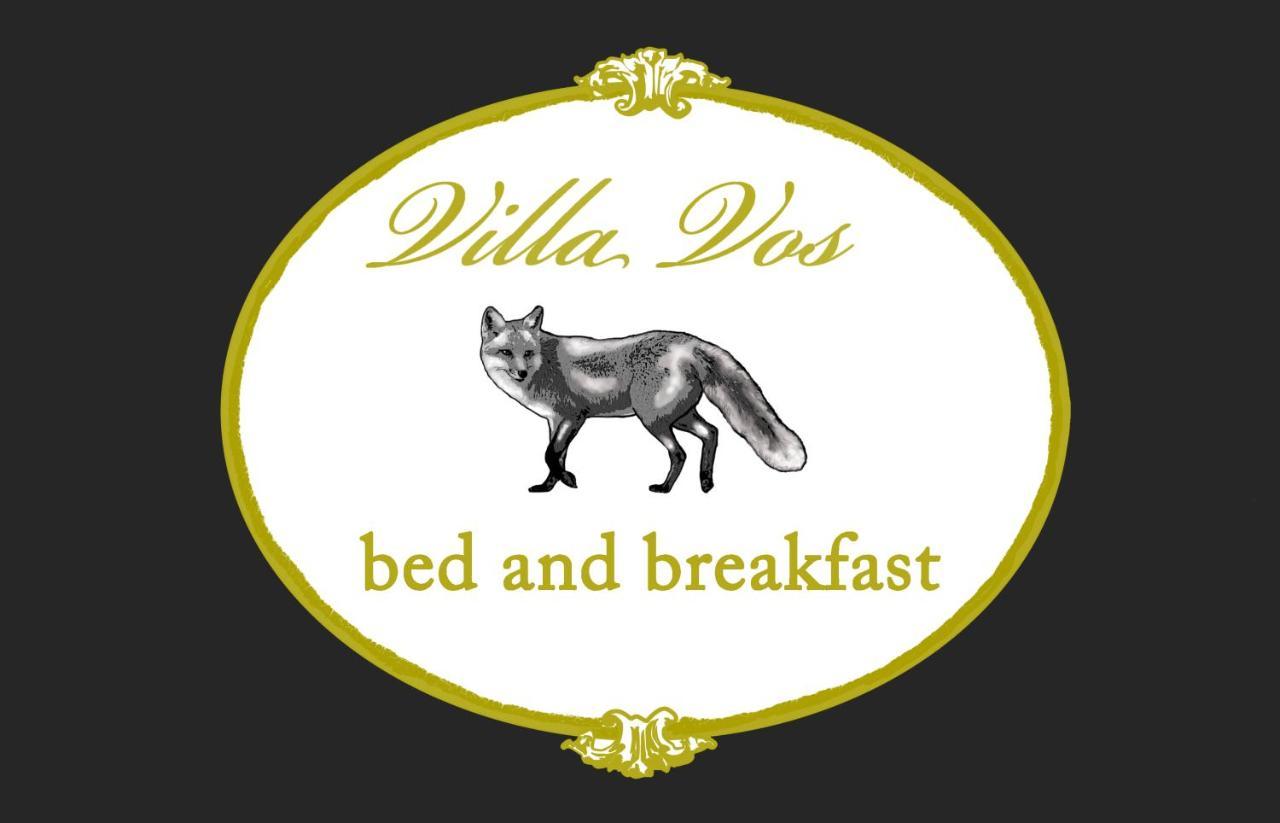 B&B Villa Vos 希伦多恩 外观 照片