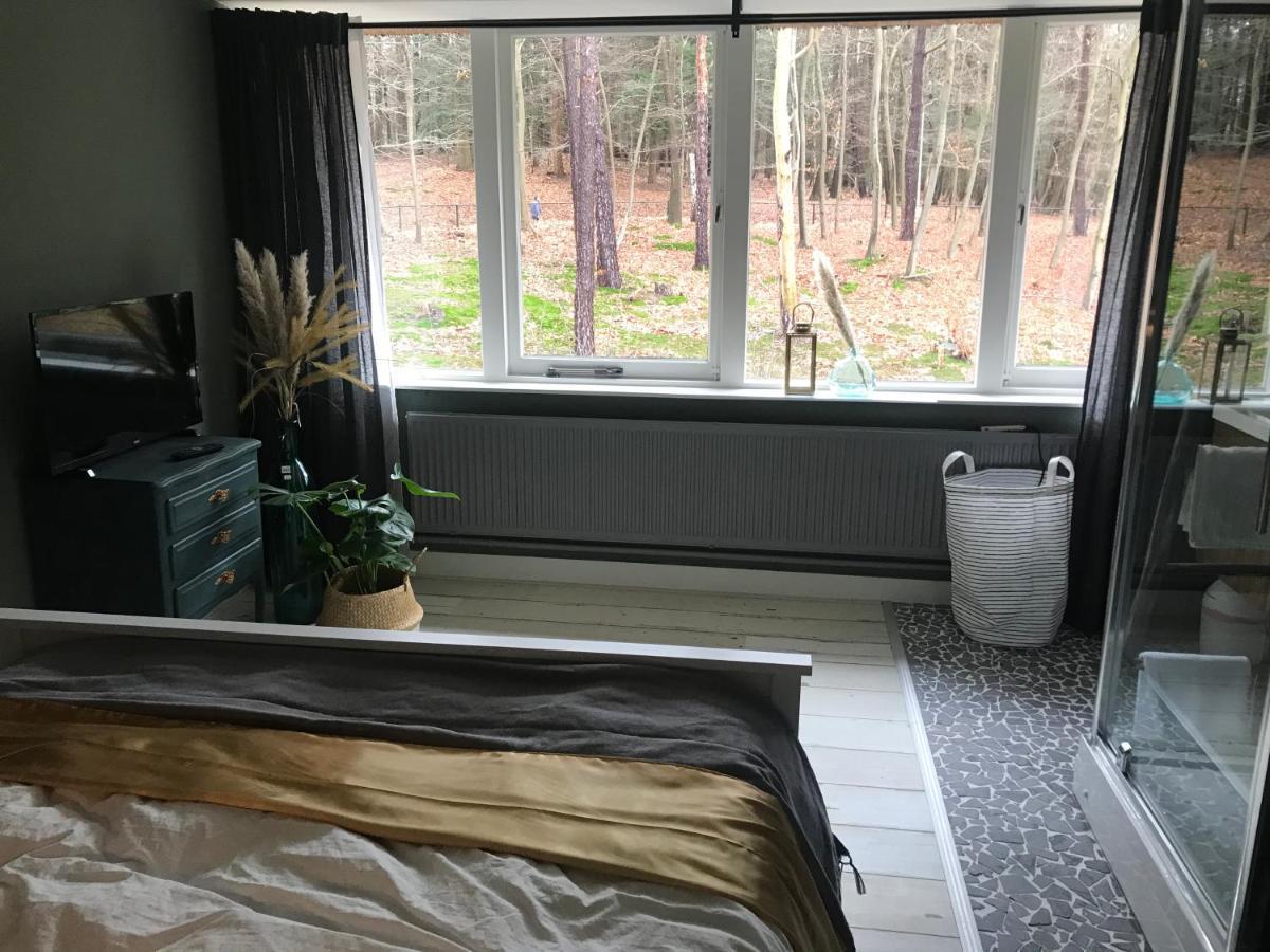 B&B Villa Vos 希伦多恩 外观 照片
